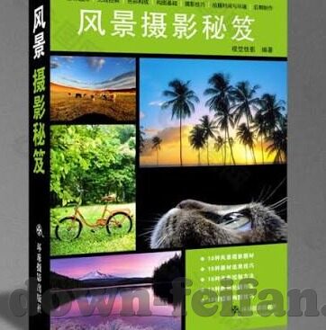 阿根廷世界杯晋级形势-阿根廷世界杯晋级形势分析
