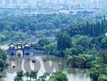 胜负足球彩票比分-胜负之间，足球彩票比分预测的艺术与科学